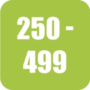 250 - 499