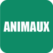 LEGO® Animaux : sets, idées cadeaux et animaux à construire | GoldenBrick