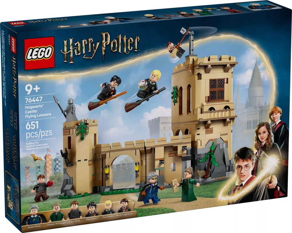 LEGO Harry Potter 76447 Les Cours de vol
