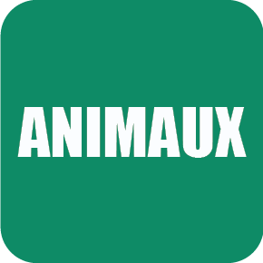 Animaux image